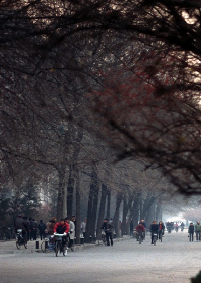 Peking-4
