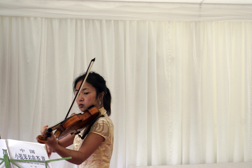 Viol
