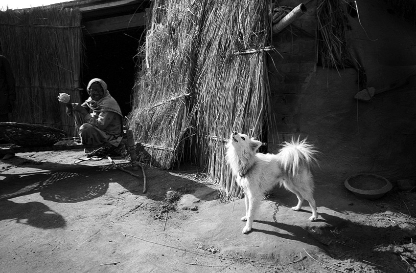 indien17