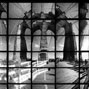 t_pano
